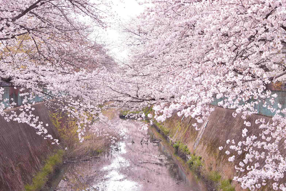 回復期リハビリテーションについて